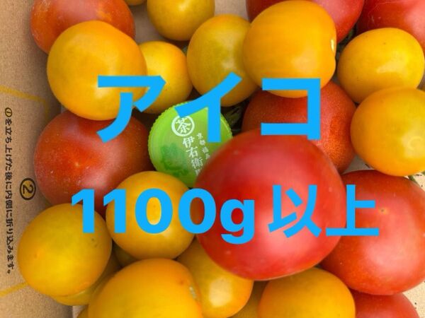 トマト 栽培期間中農薬不使用 除草剤不使用