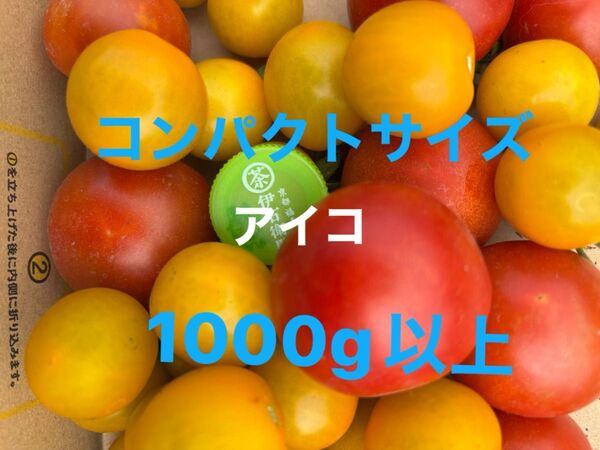 トマト 栽培期間中農薬不使用 除草剤不使用