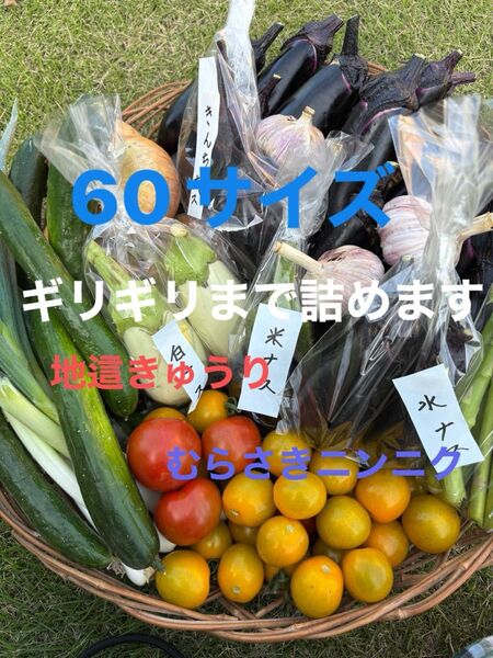 野菜セットミニトマト紫ニンニクアスパラ オクラナス白ナス水ナス玉ねぎきゅうりピーマンなどの中からおまかせで梱包農薬不使用又は低農薬