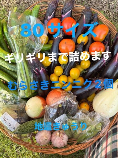 ①野菜セットミニトマト紫ニンニクアスパラオクラナス白ナス水ナス玉ねぎきゅうりピーマンなどの中からおまかせで梱包 農薬不使用 低農薬