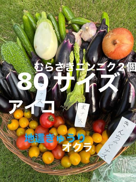 80サイズ野菜セットミニトマト紫ニンニクアスパラオクラナス白ナス水ナス玉ねぎきゅうりなどの中からおまかせで梱包 農薬不使用 低農薬
