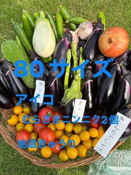 80サイズ野菜セットミニトマト紫ニンニクアスパラオクラナス白ナス水ナス玉ねぎきゅうりなどの中からおまかせで梱包 農薬不使用 低農薬