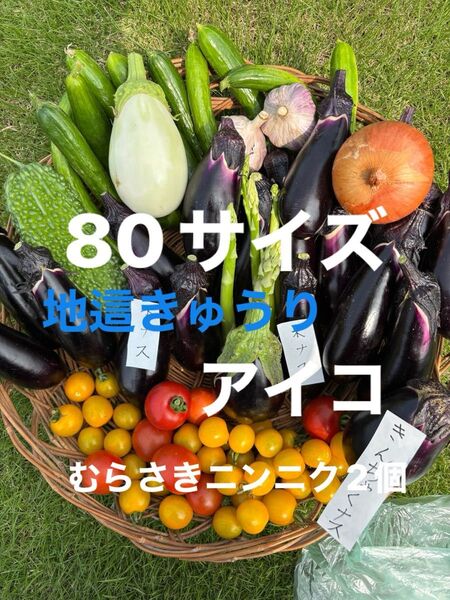 80サイズ野菜セットミニトマト紫ニンニクアスパラオクラナス白ナス水ナス玉ねぎきゅうりなどの中からおまかせで梱包 農薬不使用 低農薬