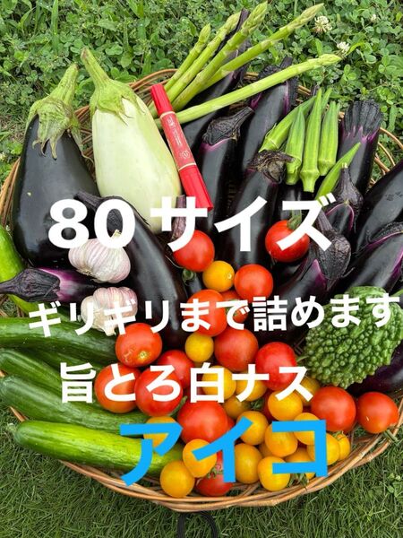 80サイズ②野菜セット 旨とろ白ナス ミニトマト 紫ニンニクアスパラ オクラなす 水ナス玉ねぎきゅうりなどの中からおまかせで梱包