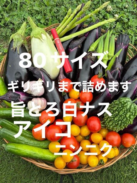 80サイズ①野菜セット 旨とろ白ナス ミニトマト 紫ニンニクアスパラ オクラなす 水ナス玉ねぎきゅうりなどの中からおまかせで梱包