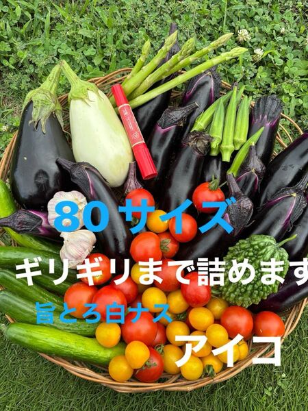 80サイズ野菜セット アスパラ 旨とろ白ナスミニトマトマクワウリニンニクゴーヤなすきゅうり水ナス玉ねぎなどの中からおまかせで梱包