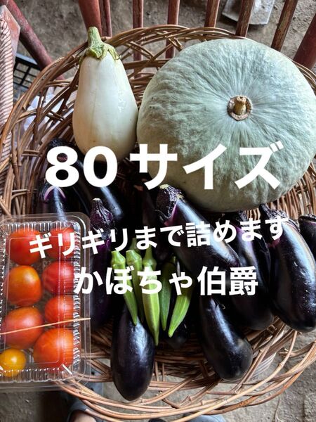80サイズ野菜セットかぼちゃ旨とろ白ナスミニトマトマクワウリニンニクゴーヤなすきゅうり水ナス玉ねぎなどの中からおまかせで梱包