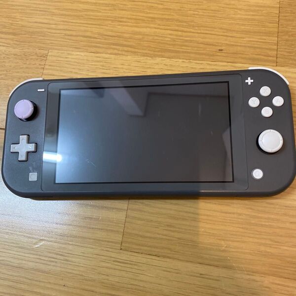 Nintendo Switch Lite グレー 本体のみ スイッチライト 動作確認済み