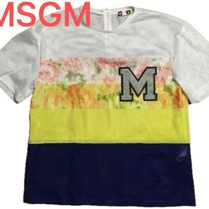 MSGM ロゴ入りカットソー フリーサイズ お洒落Tシャツ 半袖