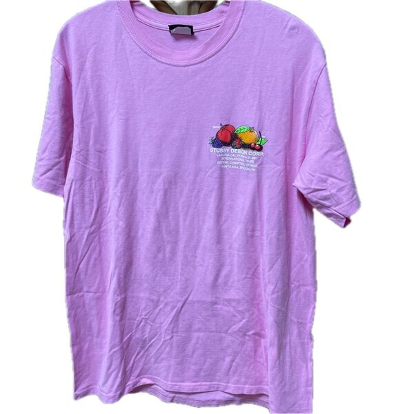 STUSSY ステューシー Tシャツ ピンク M 古着