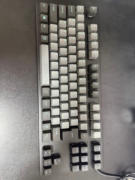 Realforce GX1 日本語配列45g FILCOキーキャップ換装済み ※保証書付き※