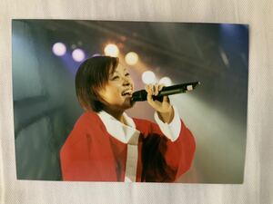 モーニング娘。市井紗耶香 FC限定 会報 vol.16 使用生写真 ライブ FOLK DAYS ライブ風景