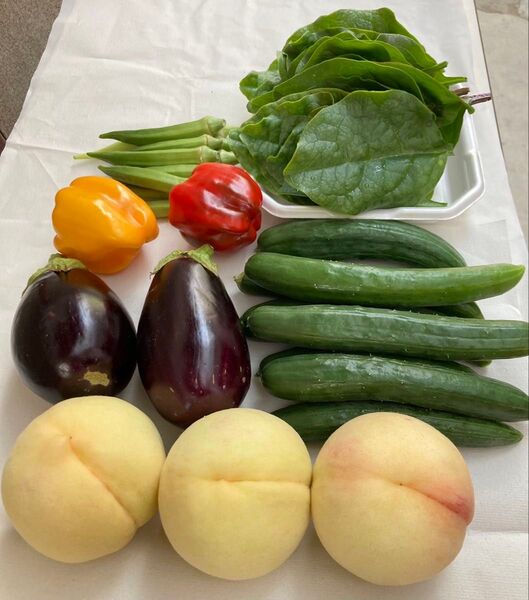 岡山県産 野菜セット 白桃 2.9キロ 80サイズ 産地直送 詰め合わせ