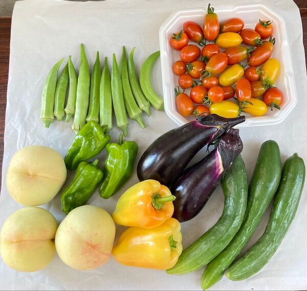 岡山県産 野菜果物セット 白桃 きゅうり ピーマン ナス オクラ ミニトマト 2.2キロ