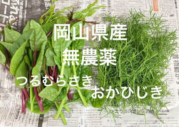 岡山県産 無農薬 おかひじき つるむらさき おひたしセット 7/17朝収穫 ネコポス500グラム