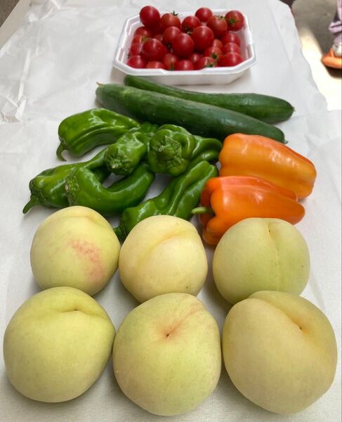 岡山県産 野菜果物セット 清水白桃など 2.5キロ 80サイズ 大葉20枚おまけ