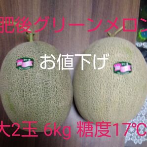 肥後グリーンメロン 大2玉 6kg 糖度17°