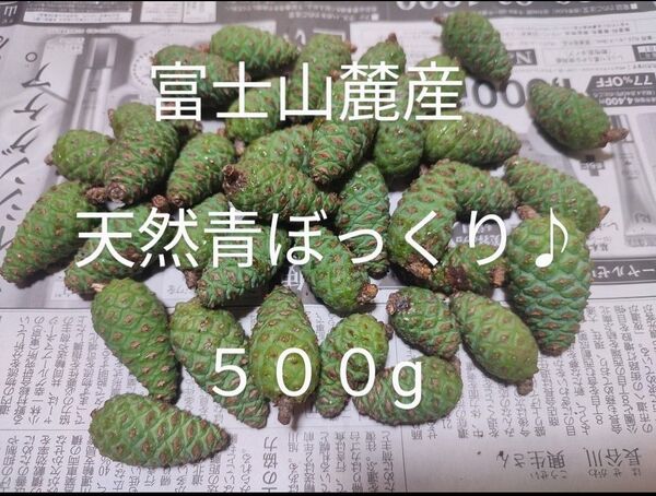 富士山麓産 天然青ぼっくり♪ 500g