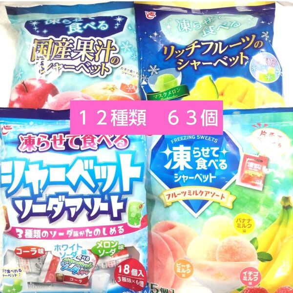凍らせて食べるシャーベット 大容量 国産果汁 リッチフルーツ 食べ比べ 詰め合わせ ■送料無料 ■匿名配送 ■クーポン ■再出品〇