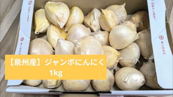 【泉州産】ジャンボにんにく 1kg