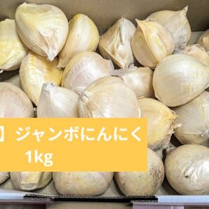 【泉州産】ジャンボにんにく 1kg