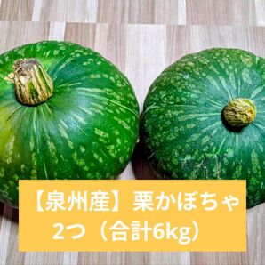 【泉州産】栗かぼちゃ 2つ(合計6kg)