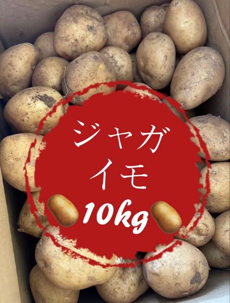 安い!野菜 ジャガイモ 10kg 訳あり 家庭用 業務用 お買い得 格安