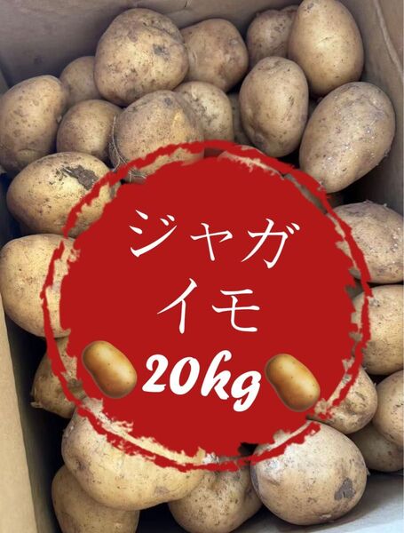 20kg 安い!野菜 ジャガイモ 20kg 訳あり 業務用 お買い得 格安