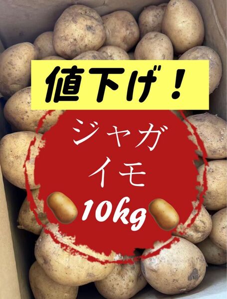 安い!野菜 ジャガイモ 10kg 訳あり 家庭用 業務用 お買い得 格安