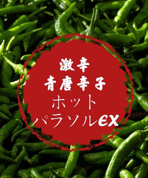 野菜 とうがらし 激辛青唐辛子 ホットパラソルEX 期間限定 希少