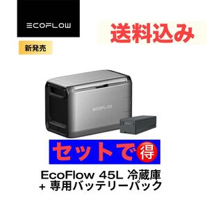 EcoFlow GLACIER Classic 45L ポータブル冷蔵庫 + EcoFlow GLACIER 専用バッテリーパック