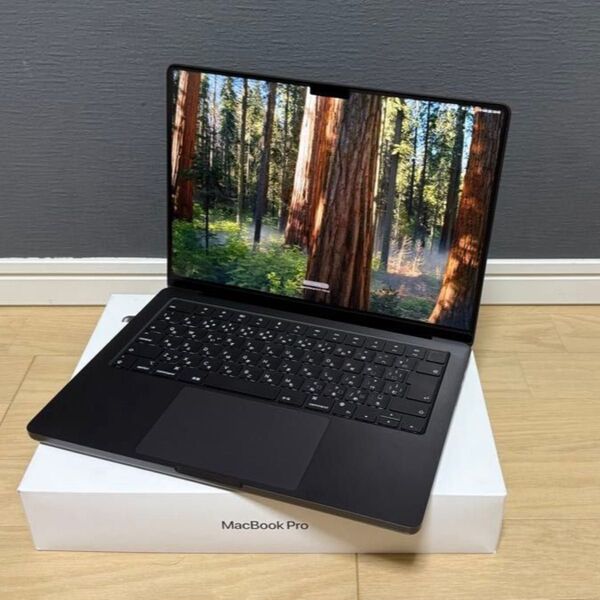 Apple MacBook Pro 14インチ M3 Pro 18GB/1TB スペースブラック MRX43J/A 日本語