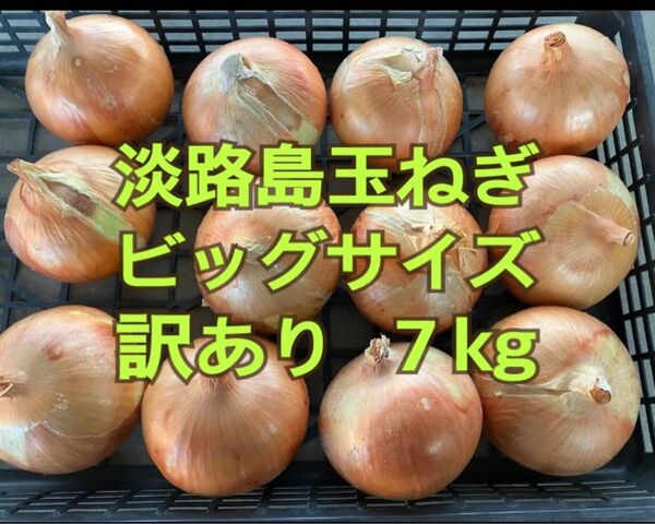 【訳あり】淡路島玉ねぎビッグサイズ7kg