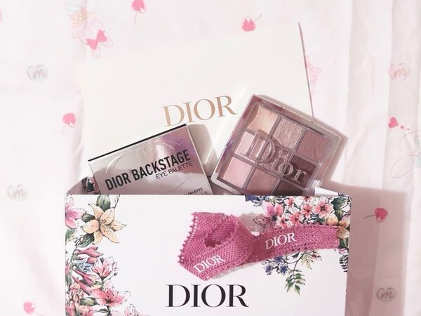 Dior バックステージ アイ パレット 002 / クール 廃盤品