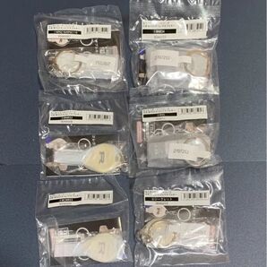 GT-R GTR 鍵 キー ガチャ 全6種 コンプ なりきりオーナーシリーズ 歴代 日産 NISSAN コンプリート 未開封