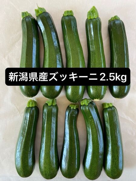 新潟県産 ズッキーニ 2.5kg
