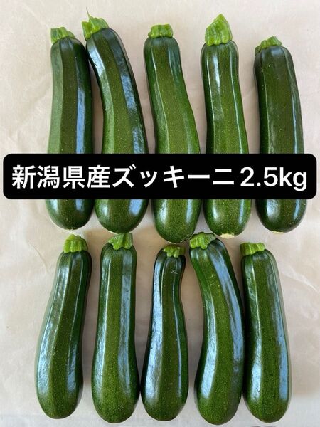 新潟県産 ズッキーニ 2.5kg