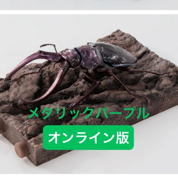 【オンライン版】 フェイスタメルシワバネクワガタ(メタリックパープル) いきもの大図鑑 くわがた10
