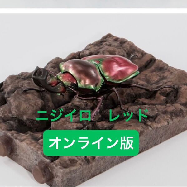 【オンライン版】 ニジイロクワガタ(レッド) いきもの大図鑑 くわがた10