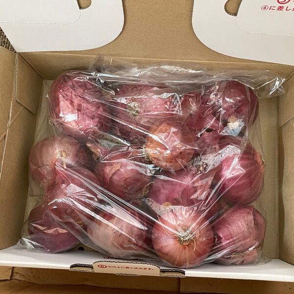 長野県産紫玉ねぎ 約1kg サイズ色々