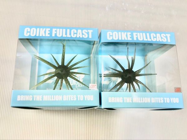 未使用 コイケフルキャスト ウォーターメロンブラックブルーF クリアーブラウン ハイドアップ たまらんばい
