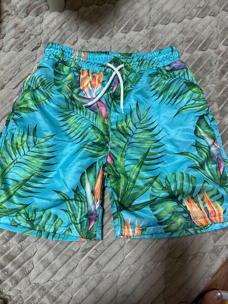 水着 ボーイズ 150 海パン 男子 男の子 美品 海 サーフパンツ kids キッズ