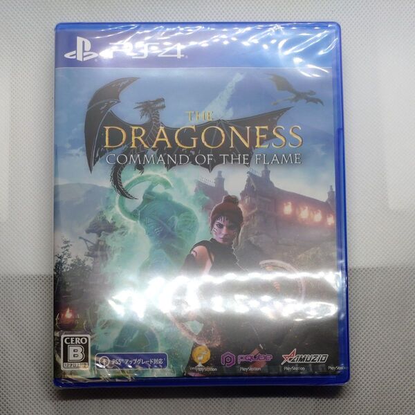 PS4ソフト The Dragoness:Command of the Flame