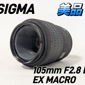 SIGMA 105mm F2.8 D EX MACRO シグマニコン用