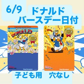 ディズニーリゾートライン フリー切符 ドナルド 誕生日 バースデー パルパルーザ