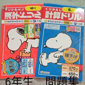 6年生 ドリル 一学期 未使用 復習 予習 家庭学習 夏休み 自宅保管 未使用
