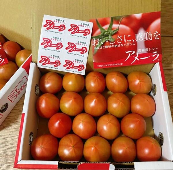 トマト アメーラ 約1kg 高糖度フルーツトマト