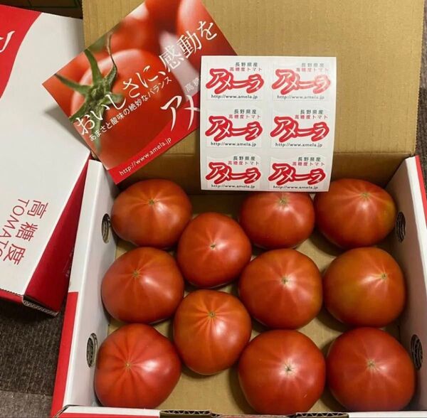 トマト アメーラ 約1kg 高糖度フルーツトマト