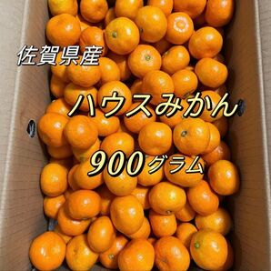唐津 ハウスみかん 900g 佐賀産 温室みかん