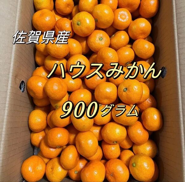 唐津 ハウスみかん 900g 佐賀産 温室みかん